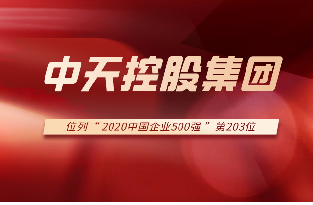 中天控股集團列2020中國企業(yè)500強第203位！