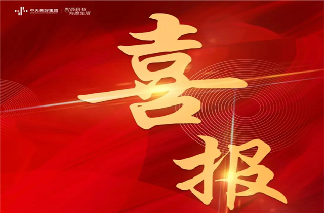 中天美好集團(tuán)蟬聯(lián)“2021長三角城市群房地產(chǎn)公司品牌價(jià)值TOP10”