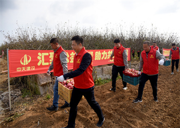 “愛心蘋果，真甜！”